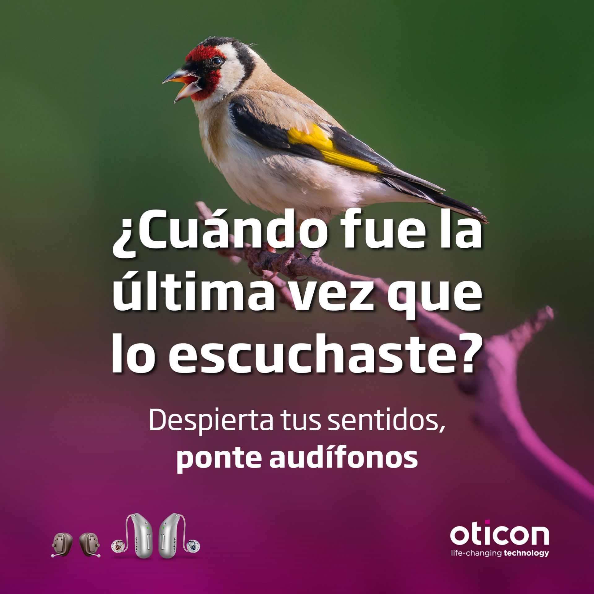 Necesidad de oír